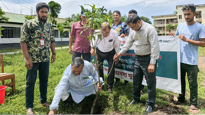 বিশ্বকাপের প্রতিটি গোলের বিপরীতে একটি করে গাছের চারা রোপণ করল অদম্য যুব সংগঠন