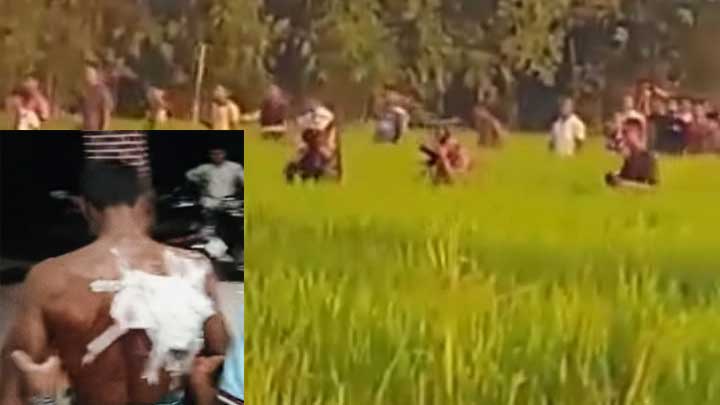 হাতীবান্ধায় সীমান্তে বাঘের কামড়ে নারীসহ  আহত- ৩